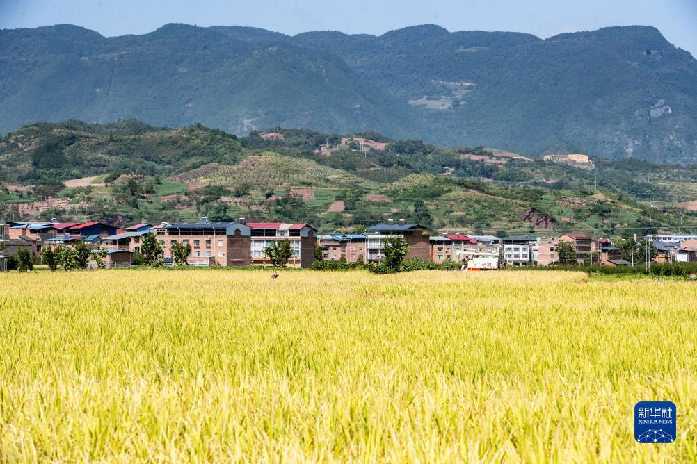 新天地注册